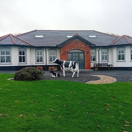 Creeghduff Lodge Downpatrick Eksteriør bilde