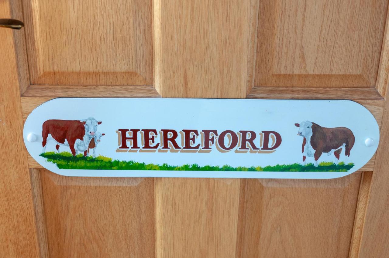 Creeghduff Lodge Downpatrick Eksteriør bilde