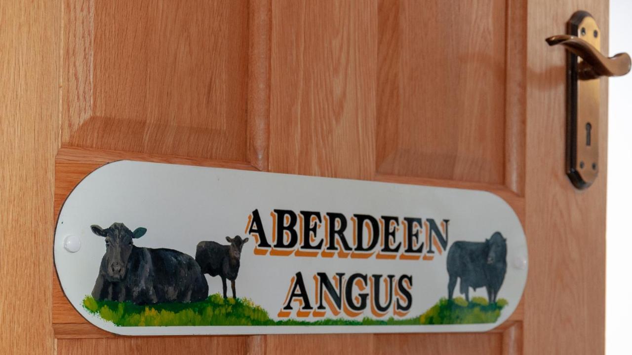 Creeghduff Lodge Downpatrick Eksteriør bilde